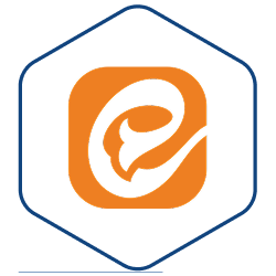 Social-item