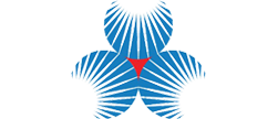 CompanyDetailsPage Logo