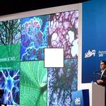 تاکید مدیرعامل شستا بر نوآوری در صنعت پتروشیمی